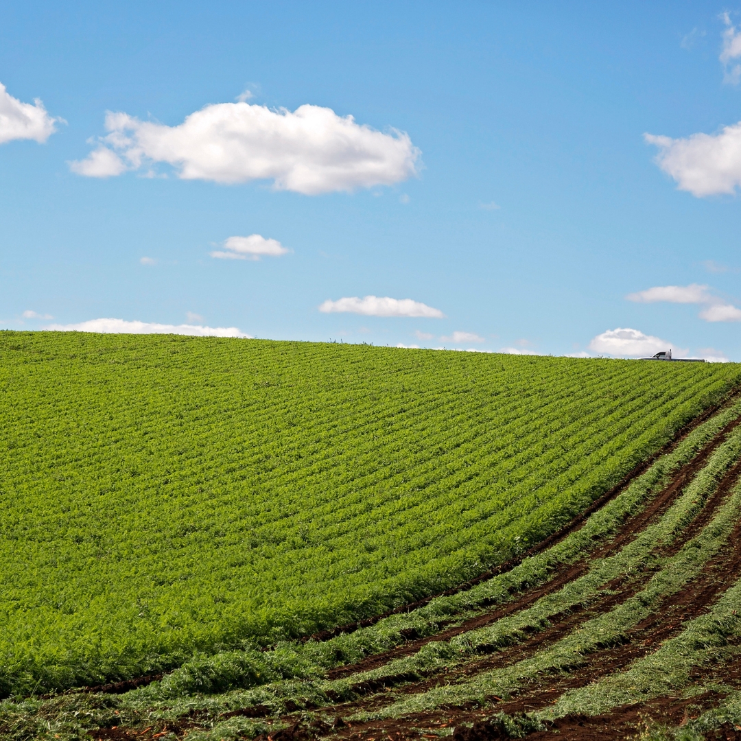 Agricultural Relief Inheritance Tax